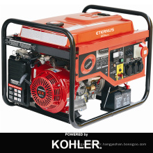 Économique 6kw Power Generators (BH8500)